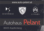 Autohaus Pelant GmbH
